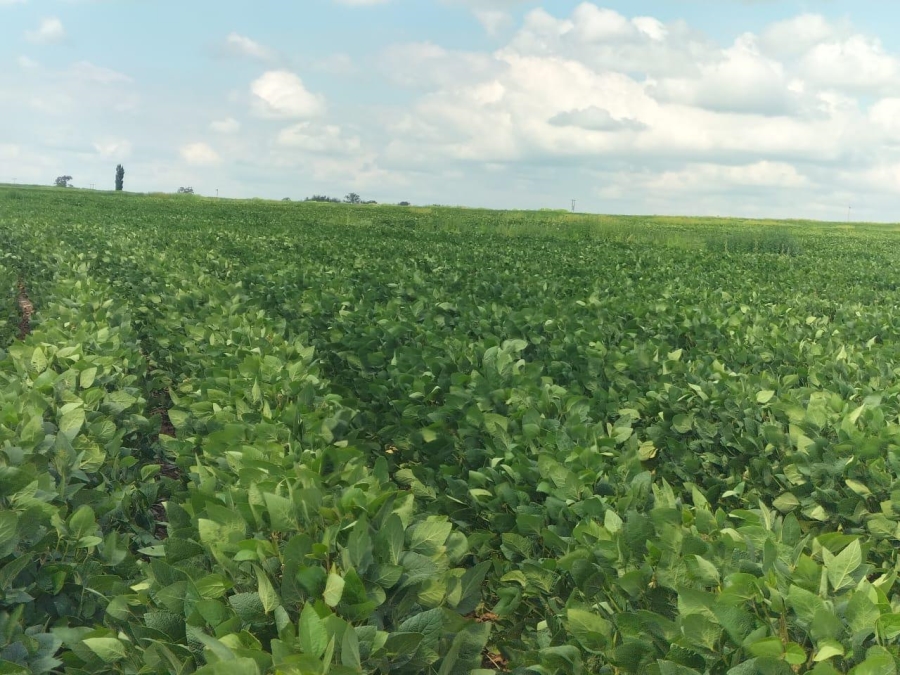 0 Bedroom Property for Sale in Bethlehem Rural Free State